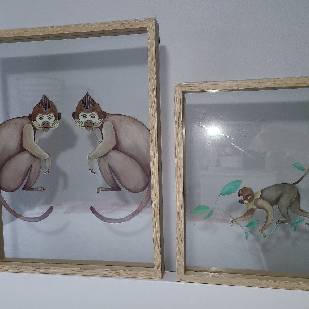 Frame Zara home
